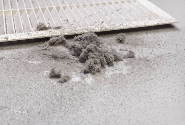 Best Dryer Vent Cleaning Services  in Central, LA