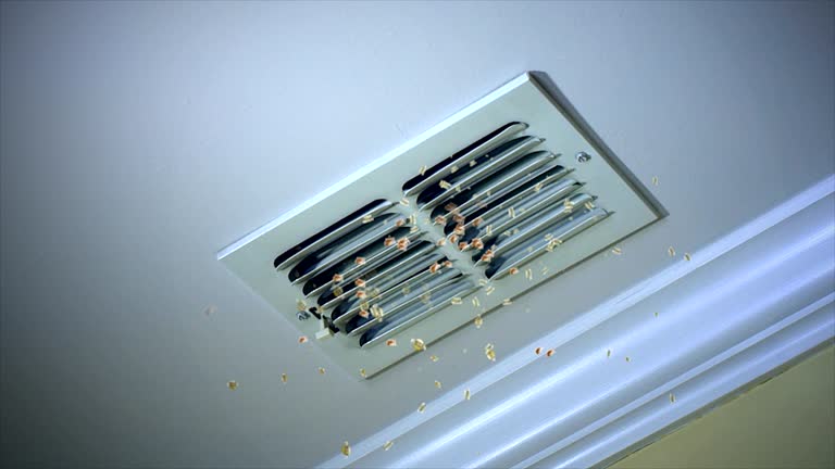 Best HVAC Maintenance and Cleaning  in Central, LA