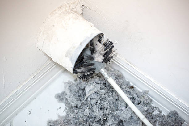 Air Duct Mold Removal in LA